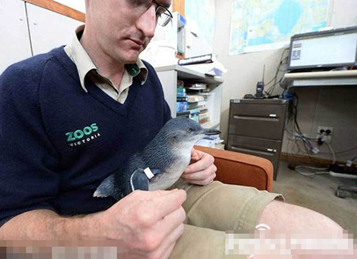 undefined{{pos:,w:,h:}}