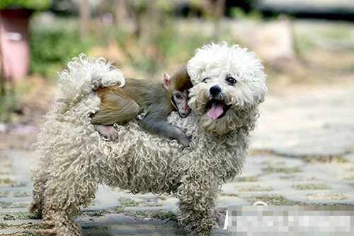 undefined{{pos:,w:,h:}}