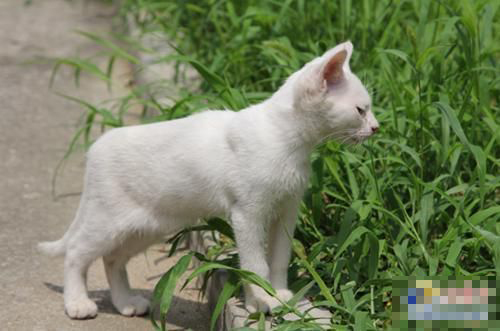 undefined{{pos:,w:,h:}}