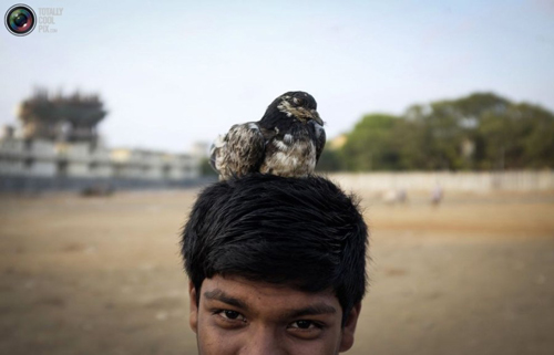 undefined{{pos:,w:,h:}}