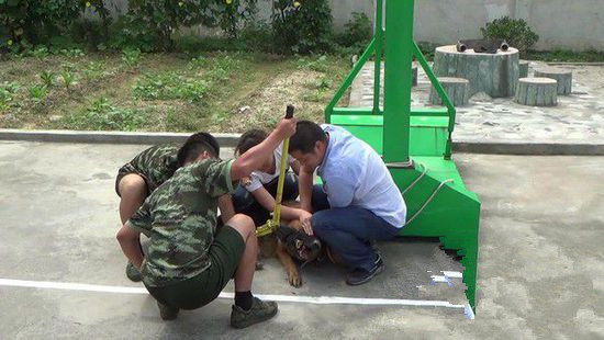 undefined{{pos:,w:,h:}}