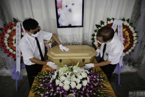 undefined{{pos:,w:,h:}}