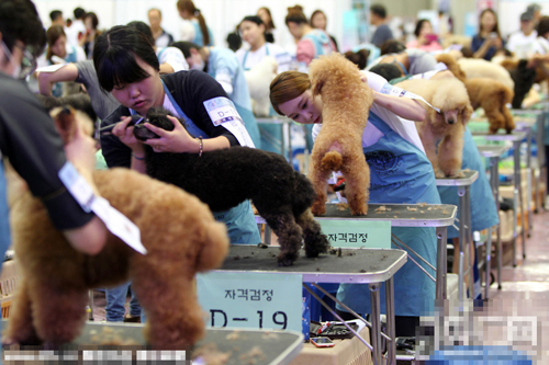 undefined{{pos:,w:,h:}}