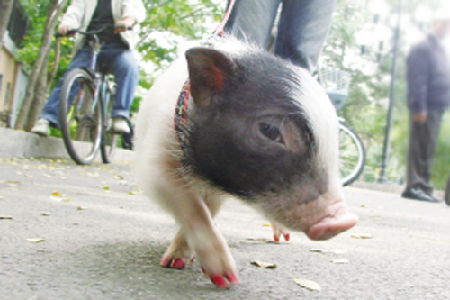 undefined{{pos:,w:,h:}}