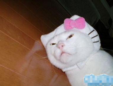 把老子弄成这样你很舒服是吧