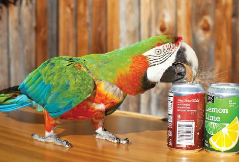 undefined{{pos:,w:,h:}}