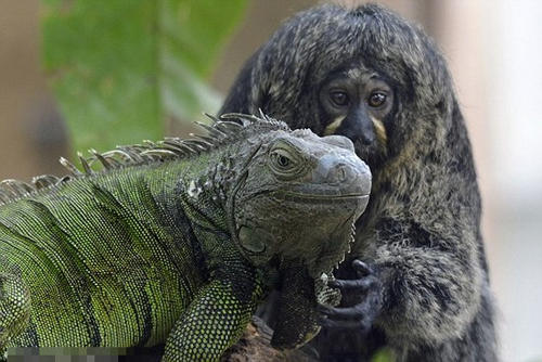 undefined{{pos:,w:,h:}}