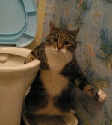 看毛看，没看过拉屎啊