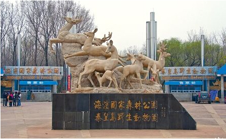 一名女性游客在野生动物园自行下车被老虎攻击受伤