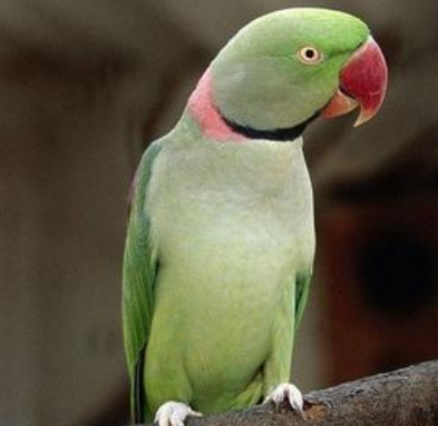 undefined{{pos:,w:,h:}}