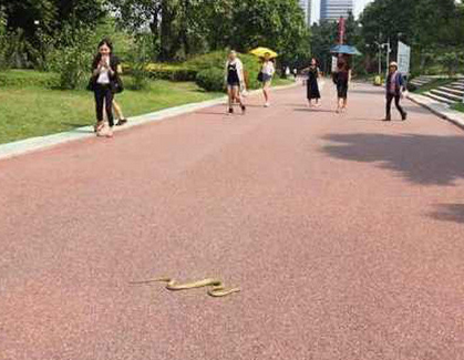 undefined{{pos:,w:,h:}}