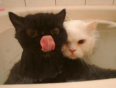 不能再游泳了，都喝饱了