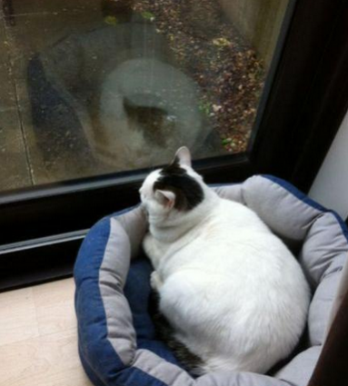 看来我该减肥了