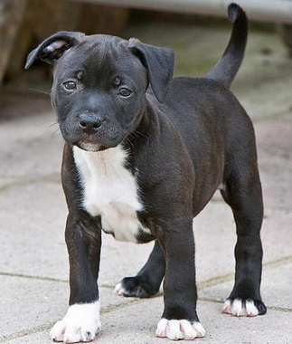 undefined{{pos:,w:,h:}}