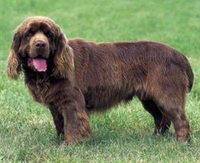 undefined{{pos:,w:,h:}}