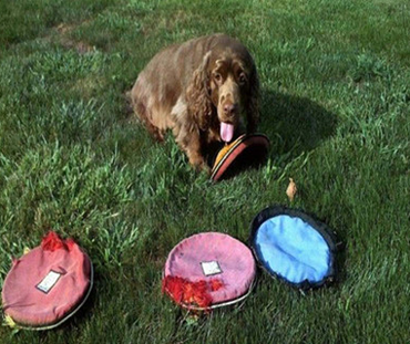 undefined{{pos:,w:,h:}}