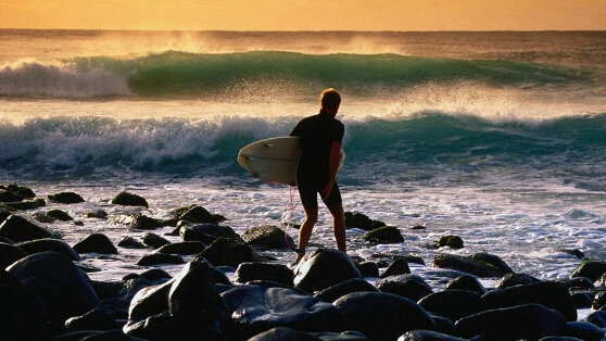 澳大利亚冲浪胜地 6米虎鲨被捕杀血腥场面曝光