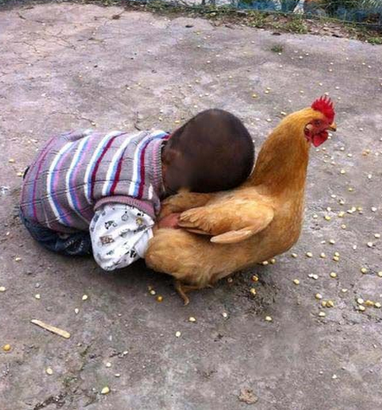 这画面太和谐了有木有！