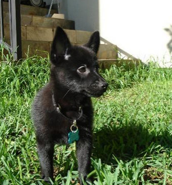 undefined{{pos:,w:,h:}}