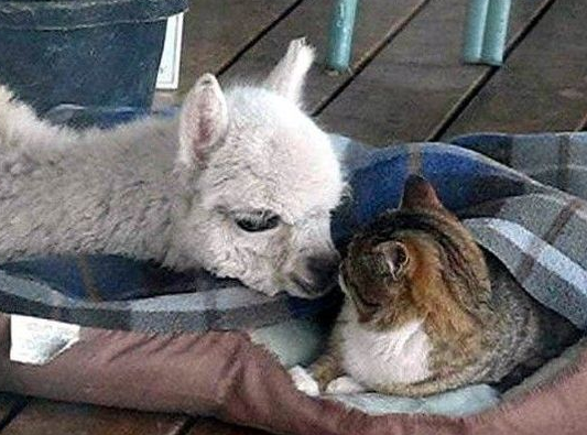 undefined{{pos:,w:,h:}}