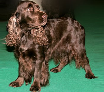 undefined{{pos:,w:,h:}}