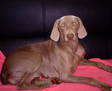 undefined{{pos:,w:,h:}}