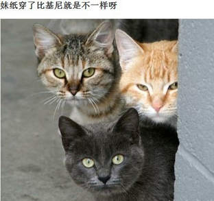 妹纸穿了比基尼就是不一样啊