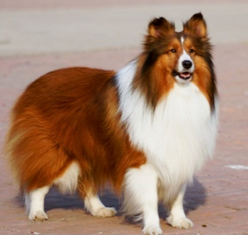 undefined{{pos:,w:,h:}}