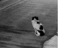 undefined{{pos:,w:,h:}}