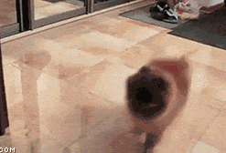 谁把镜子擦的这么亮