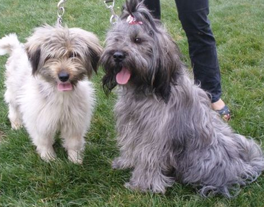 undefined{{pos:,w:,h:}}