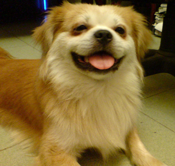 undefined{{pos:,w:,h:}}