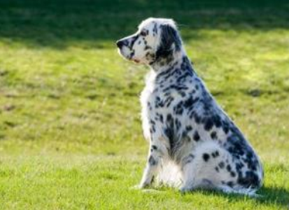 undefined{{pos:,w:,h:}}