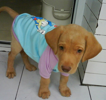 undefined{{pos:,w:,h:}}