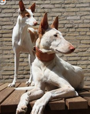 undefined{{pos:,w:,h:}}