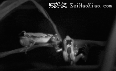 滚开 不许摸老娘的腿