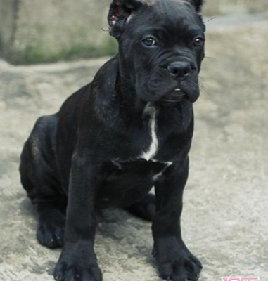 undefined{{pos:,w:,h:}}