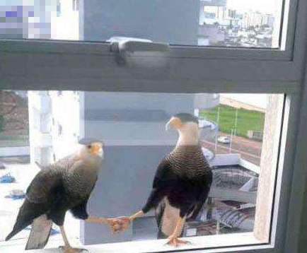 好有爱的样子啊！