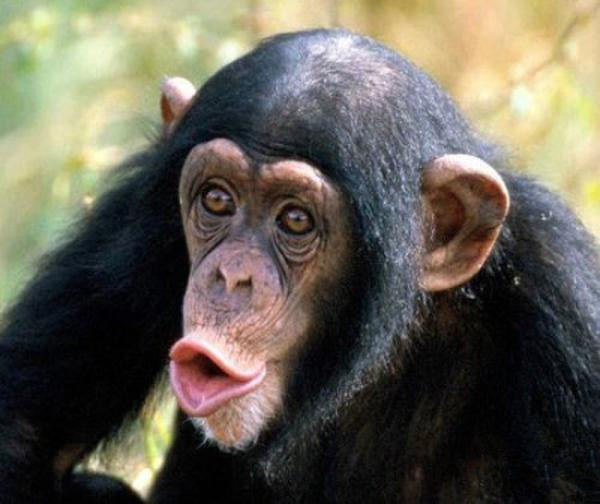 undefined{{pos:,w:,h:}}