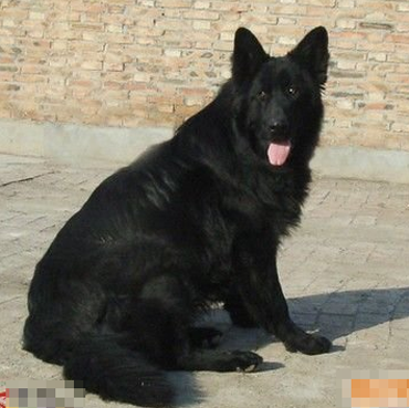 undefined{{pos:,w:,h:}}