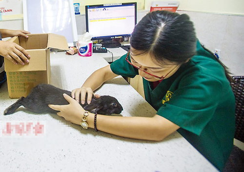 undefined{{pos:,w:,h:}}