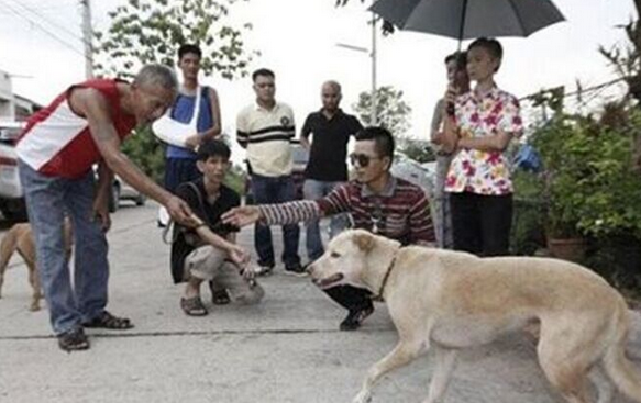 undefined{{pos:,w:,h:}}