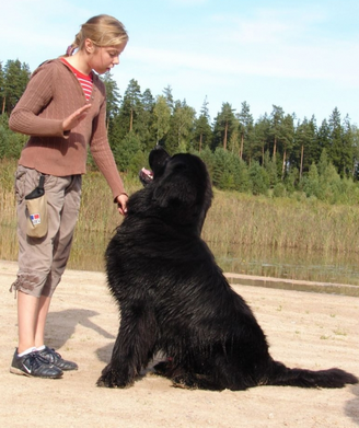 undefined{{pos:,w:,h:}}