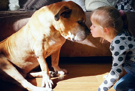 父亲拍下女儿与狗狗亲密瞬间照片 网友：好暖心