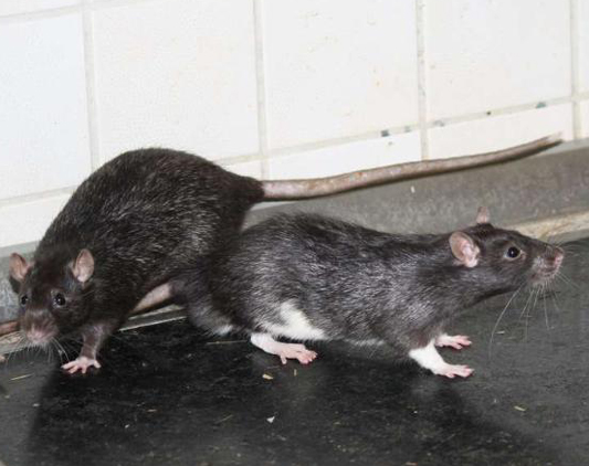 undefined{{pos:,w:,h:}}