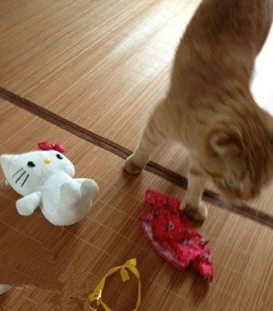 老实交代 你对她做什么了