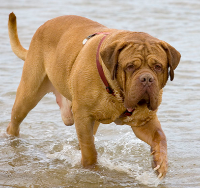 undefined{{pos:,w:,h:}}