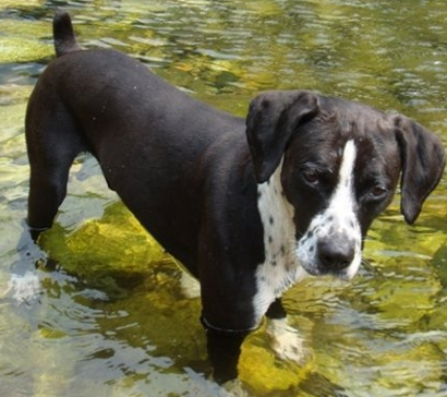 undefined{{pos:,w:,h:}}