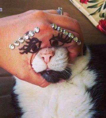 我觉得我要被二逼主人玩坏了