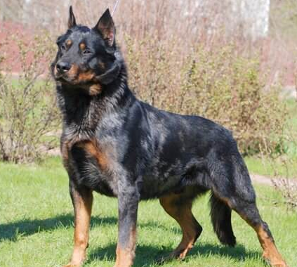 undefined{{pos:,w:,h:}}